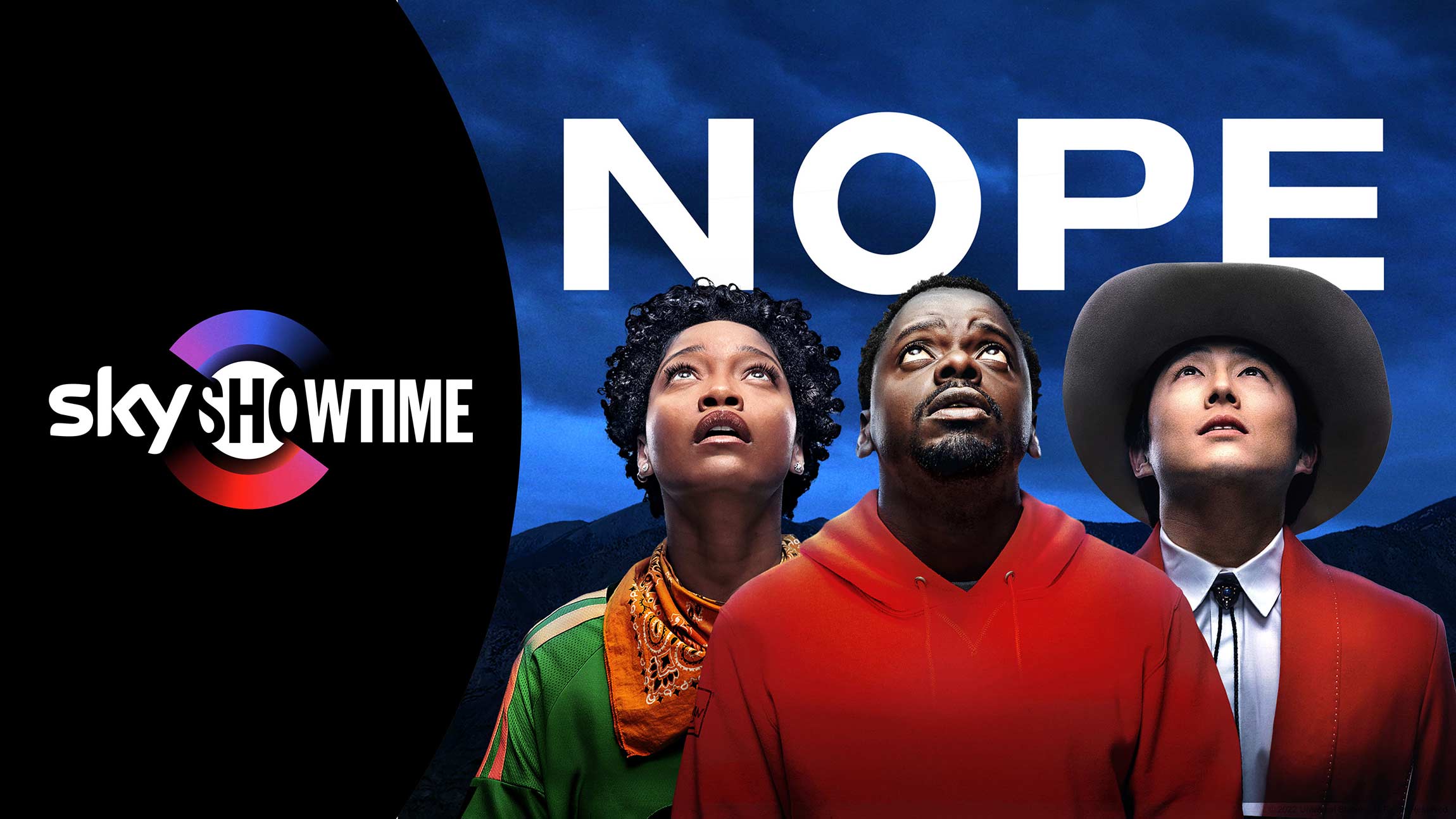 web_Nope_sst_partner_static