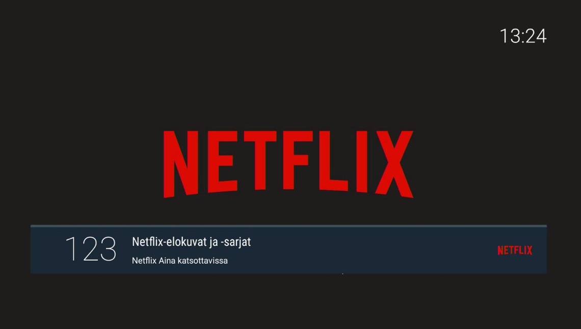 Netflix in 123